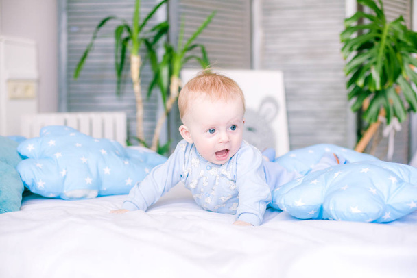 Cute toddler boy on bed at home surrounded by blue pillows - Photo, Image