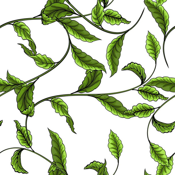 Green leaves seamless pattern on white background. - Vector, Image