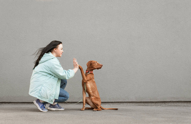 Hond geeft vijf meisjes. Getrainde puppy voert teams. Gelukkige eigenaar en schattige hond spelen tegen de achtergrond van een grijze muur - Foto, afbeelding