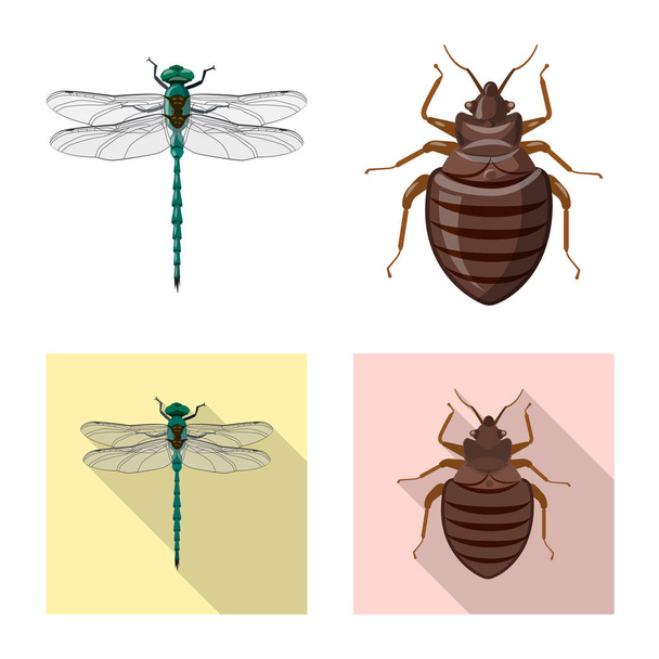 Vector design of insect and fly icon. Collection of insect and element vector icon for stock. - Vecteur, image