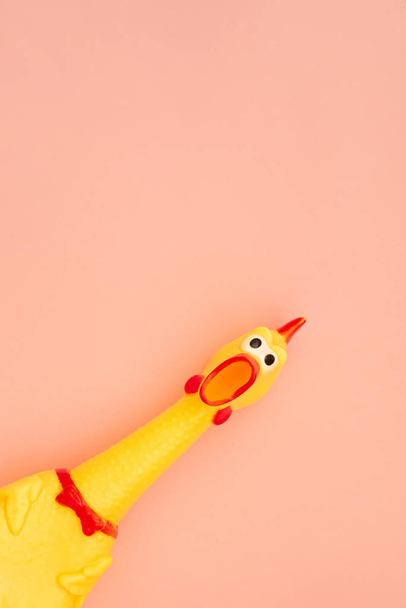 Zszokowana zabawka kurczaka jest odizolowana na pastelowych różowym tle, patrzy w kamerę i krzyczy. Zabawka kurczaka, krzycząc z usta otwarte na różowym tle. Izolowane - Zdjęcie, obraz