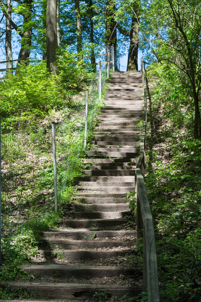 Stairs in the forest - Fotoğraf, Görsel