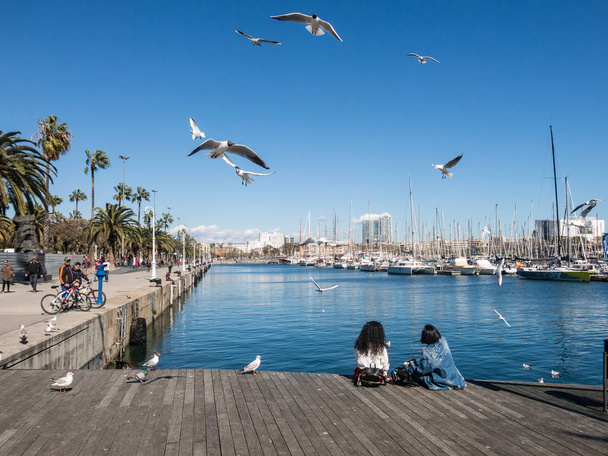Duas turistas do sexo feminino descansam cercadas por gaivotas no antigo porto
  - Foto, Imagem