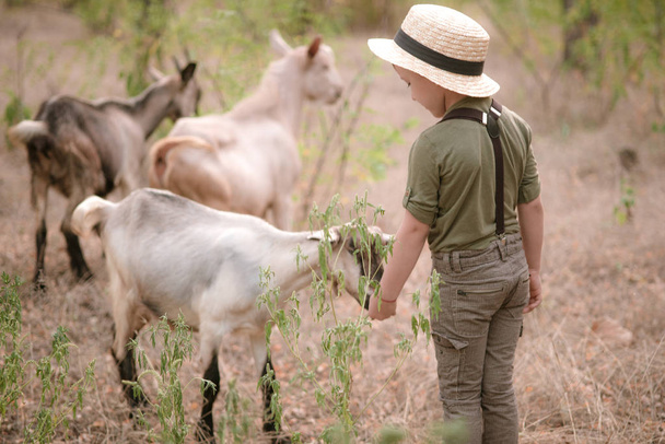 Little boy in a straw hat with goats in the summer in the countryside - Fotó, kép
