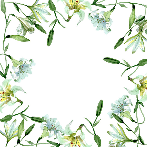 Beyaz zambak çiçek botanik çiçekler. Suluboya arka plan illüstrasyon seti. Çerçeve kenarlık süs karesi. - Fotoğraf, Görsel