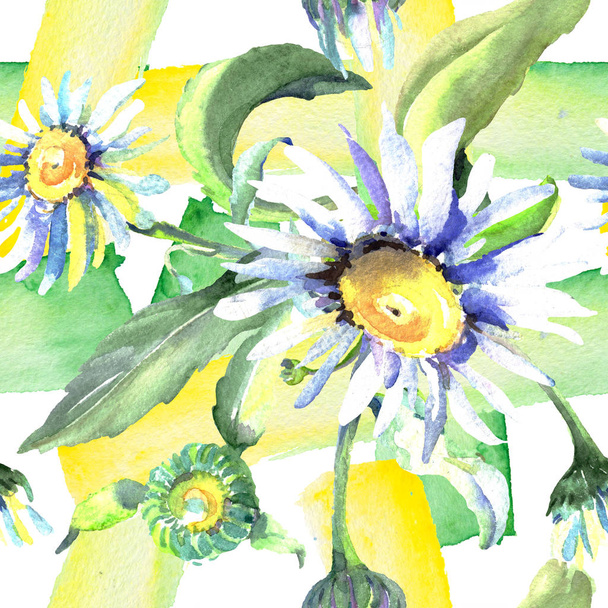 White daisy floral botanical flowers. Watercolor background illustration set. Seamless background pattern. - Valokuva, kuva