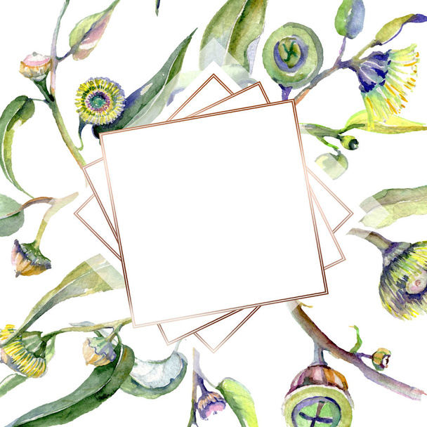 Botanische Eukalyptus-Blumen. Aquarell Hintergrundillustration Set. Rahmen Rand Ornament Quadrat. - Foto, Bild