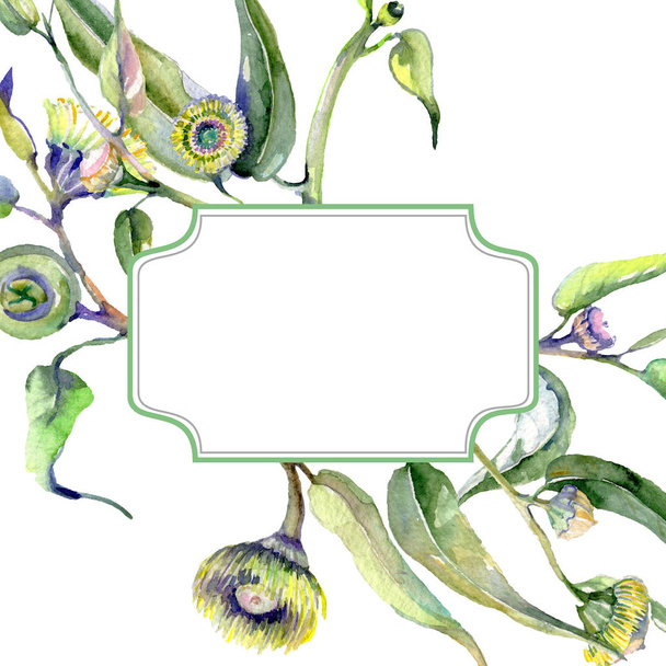 Eucalyptus floral botanical flowers. Watercolor background illustration set. Frame border ornament square. - Foto, Imagen