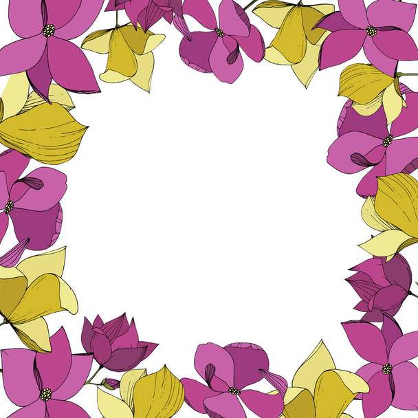 Vektormagnolie mit botanischen Blüten. lila und gelb gravierte Tuschekunst. Rahmen Rand Ornament Quadrat. - Vektor, Bild