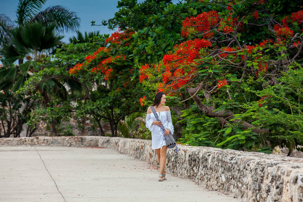 Beautiful woman on white dress walking alone at the walls surrounding the colonial city of Cartagena de Indias - Φωτογραφία, εικόνα