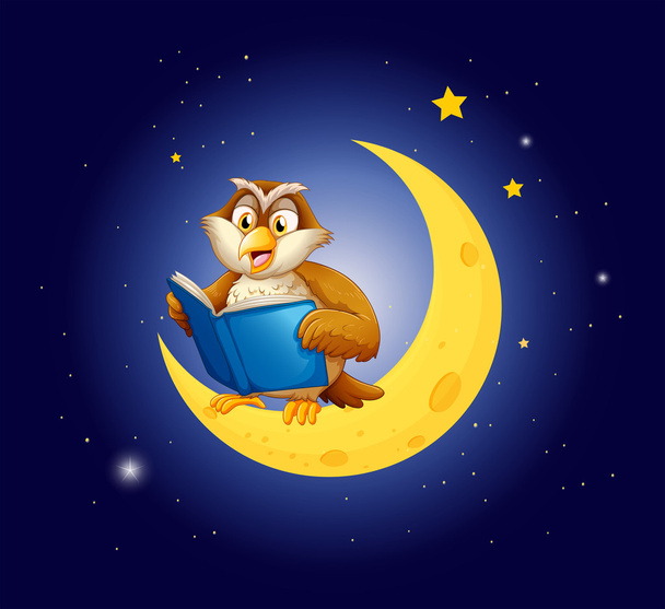 μια κουκουβάγια, διαβάζοντας ένα βιβλίο στο φεγγάρι - Διάνυσμα, εικόνα