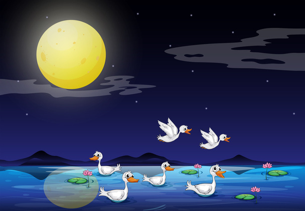 Patos na lagoa em um cenário de luar
 - Vetor, Imagem