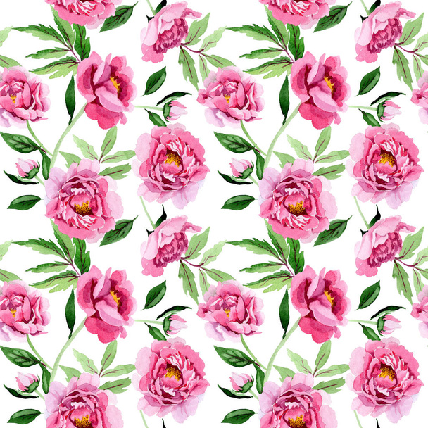 Fiori botanici floreali di peonia rosa. Acquerello sfondo illustrazione set. Modello di sfondo senza soluzione di continuità
. - Foto, immagini