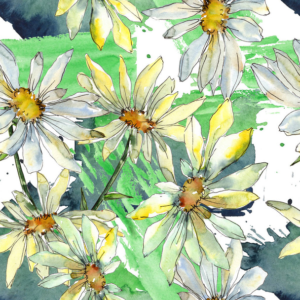 白いヒナギクの花の植物の花。●水彩背景イラストセット。シームレスな背景パターン. - 写真・画像