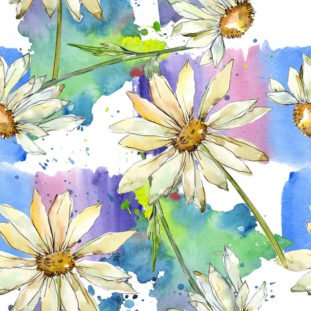 White daisy floral botanical flowers. Watercolor background illustration set. Seamless background pattern. - Foto, afbeelding