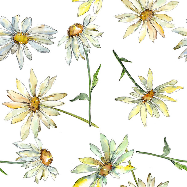 weißes Gänseblümchen, botanische Blüten. Aquarell Hintergrundillustration Set. nahtloses Hintergrundmuster. - Foto, Bild
