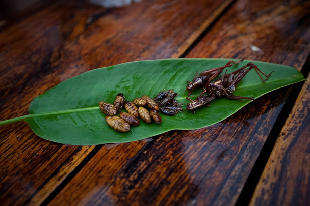 Cricketsfried, beetles fried ,Orhrn Thailand,thai food - Photo, Image