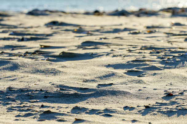 A művészet a szél, fehér kagyló a homok a strandon - Fotó, kép