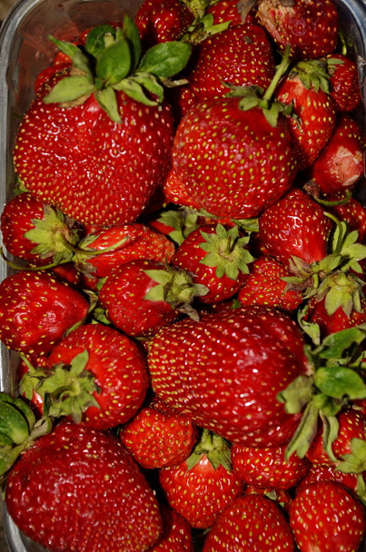 Erdbeere in einem Plastiktablett. - Foto, Bild