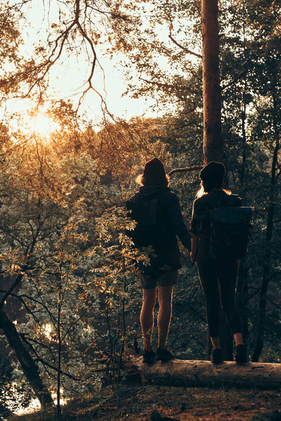 Romantic couple is standing on the log in green bright forest and watching sunset - Фото, изображение