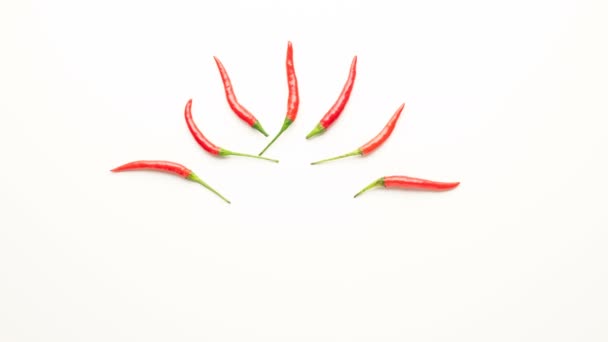Friss piros chili paprika izolált fehér háttér 4k lassú mozgás animáció. Felülnézet, lapos feküdt. Fűszeres ételminta.  - Felvétel, videó