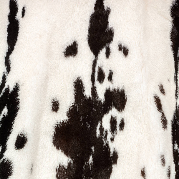 Textura de piel blanca natural con manchas negras como una vaca
 - Foto, Imagen