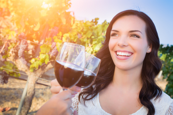 Mulher adulta nova bonita que gosta do copo do vinho que prova o brinde na vinha com amigos
 - Foto, Imagem