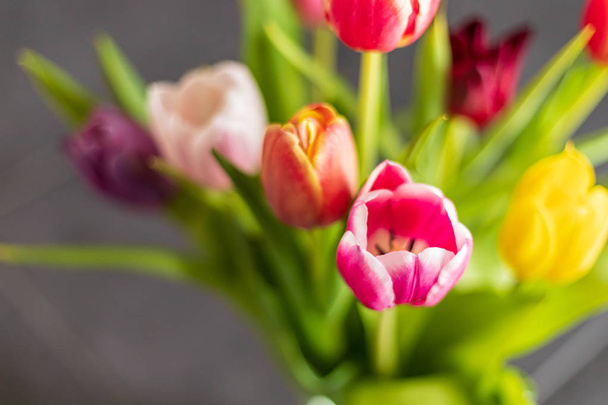 Colorful tulip flowers as greeting card. Mothers Day or spring concept - Foto, immagini