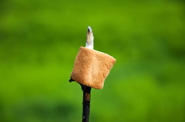 Marshmallow gebakken op een vuur. Op een stok. In de zomer op vakantie. Wit en geroosterd - Foto, afbeelding
