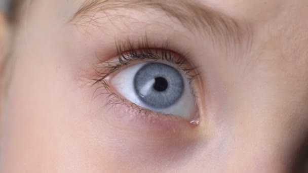 Zbliżenie niebieskie oko dziecka, pojęcie genetyki odziedziczonych cech, niewinny wygląd - Materiał filmowy, wideo