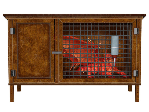 Ilustracja Fantasy małego Czerwonego Smoka trzymane jako zwierzę w Hutch, 3D cyfrowo renderowane ilustracji - Zdjęcie, obraz