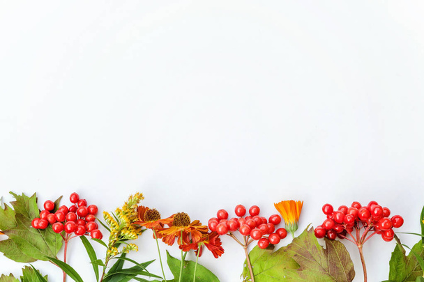Autumn composition frame made of autumn plants viburnum berries, orange and yellow flowers on white background - Foto, imagen