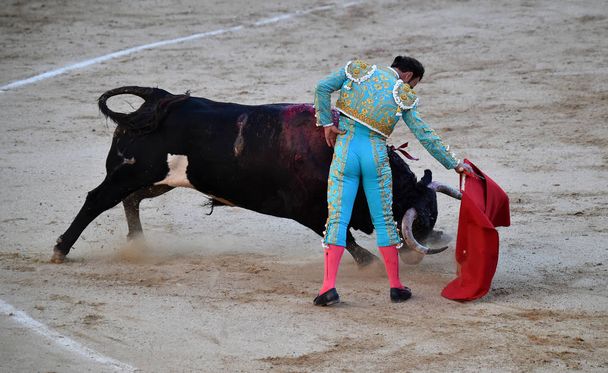 ταυρομαχίες στην Ισπανία με μεγάλο ταύρο - Φωτογραφία, εικόνα