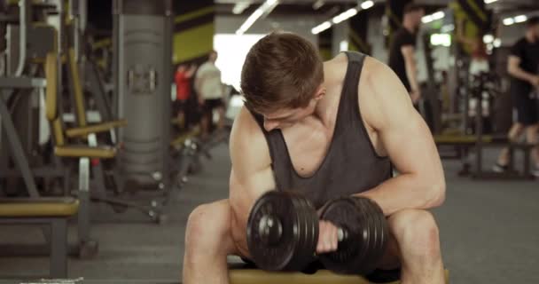 Desportistas que agitam o dumbbell do bíceps - Filmagem, Vídeo