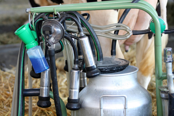 Milking machines - Foto, Imagen