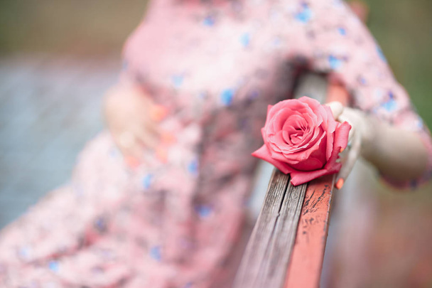 Вагітна жінка торкається зіткнення в той час як тримає рожеву троянду дівчину чекає
 - Фото, зображення