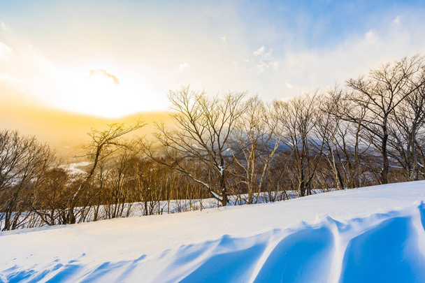 雪の冬の海での木の周りの山と美しい風景 - 写真・画像