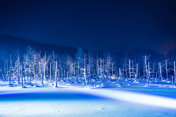 Hermoso paisaje al aire libre con estanque azul río por la noche con l
 - Foto, imagen
