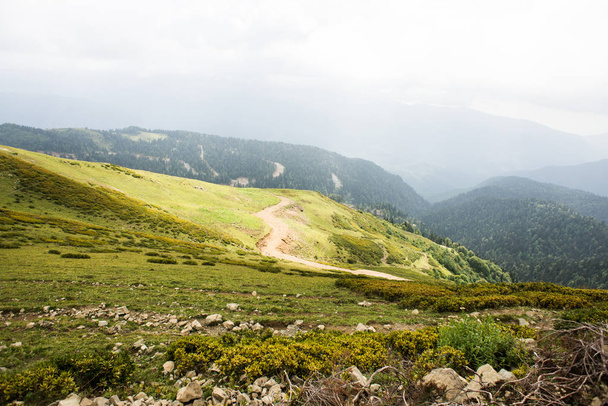 Mountains with Alpine Meadows and Green Forest in Sochi. - Photo, Image
