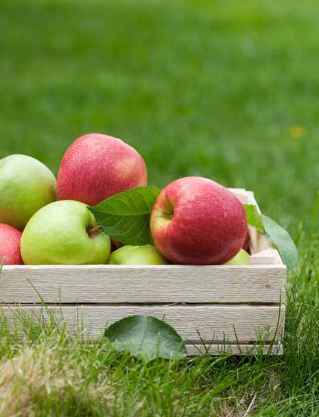 Fresh garden green and red apples in box - Foto, Imagen