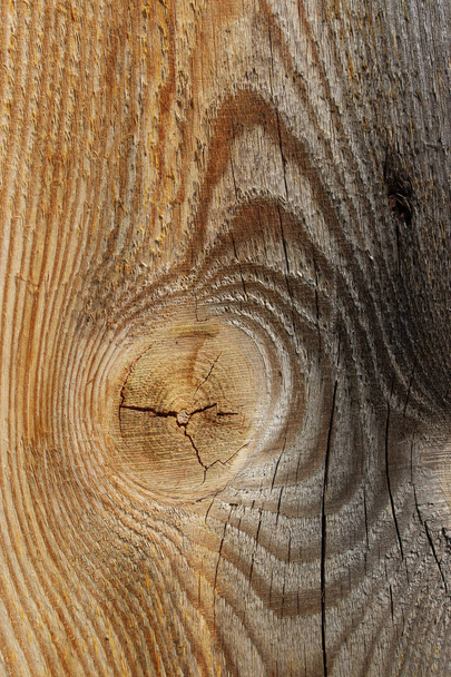 Fondo de pared de madera abstracto. Fondo de textura de madera. Fondo de naturaleza
. - Foto, imagen