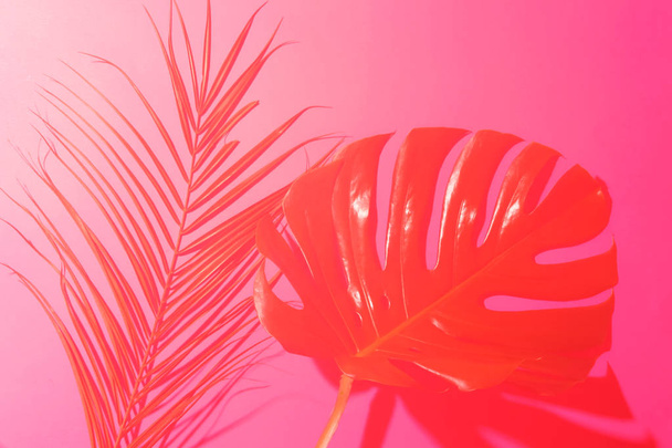 Tropical mix of green leaves on bright pink background. - Φωτογραφία, εικόνα