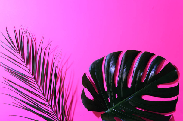 Frame of tropical leaves on bright pink background. - Foto, afbeelding