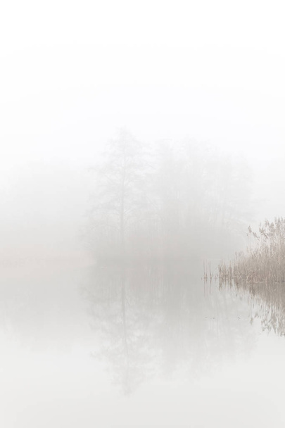 Hoboken, Bélgica - Un pequeño lago en la niebla
 - Foto, Imagen