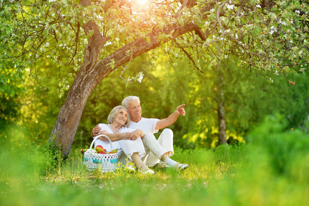 Loving elderly couple having a picnic in the summer garden. Man showing something - Foto, Imagem
