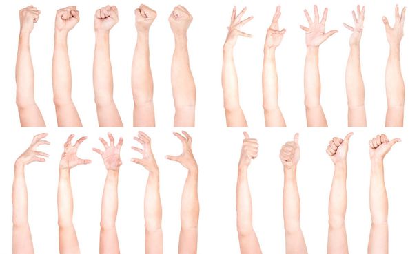Plusieurs gestes masculins de la main caucasienne isolés sur le fond blanc, ensemble de multiples images
. - Photo, image