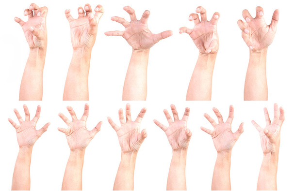 Кілька чоловічих кавказьких жестів руки ізольовані над білим фоном, набором декількох зображень. Zobies боку. - Фото, зображення
