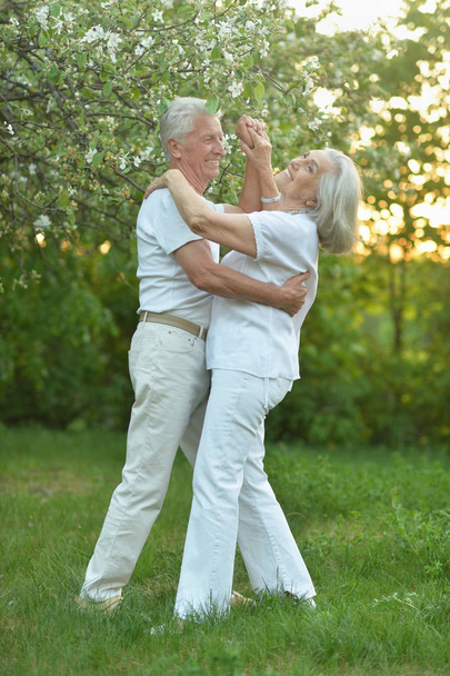 beautiful senior couple dancing   in the park - Photo, image