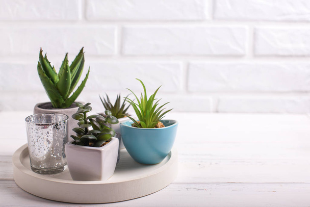 Succulents and cactus plants in pots on tray  near by white bric - Foto, afbeelding