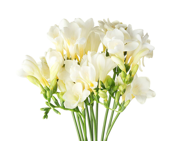 Hermosas flores de freesia sobre fondo blanco
 - Foto, imagen